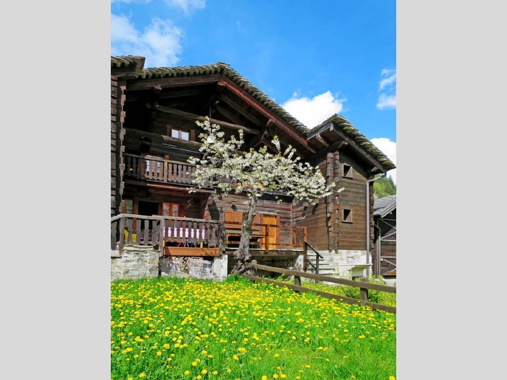 Chalet Martina Macugnaga Exteriör bild