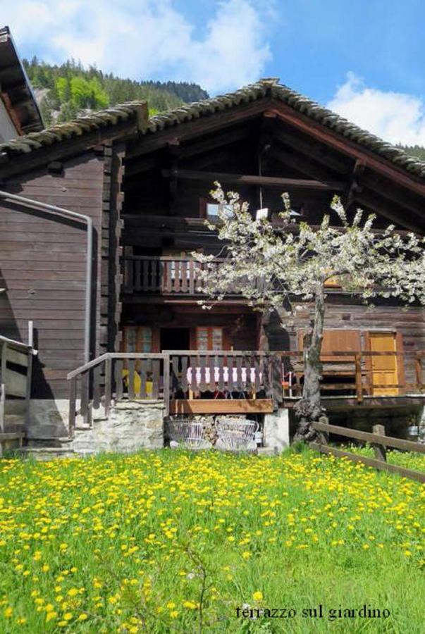 Chalet Martina Macugnaga Exteriör bild